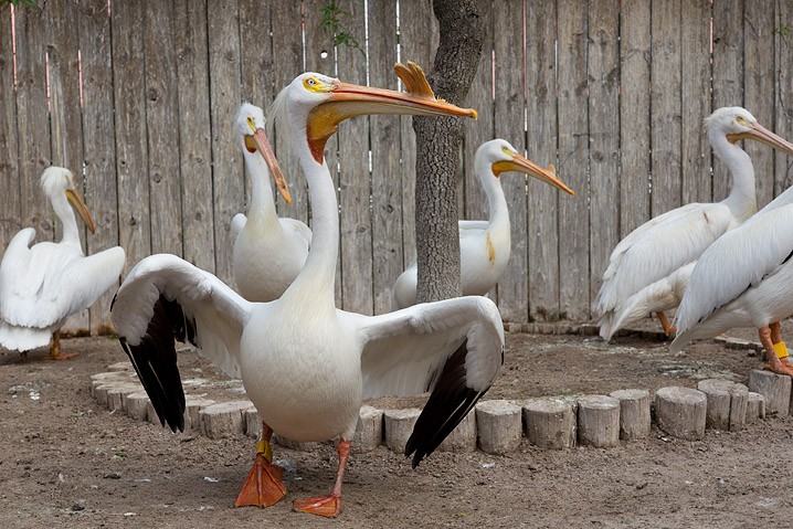 Reportage Seabird Sanctury